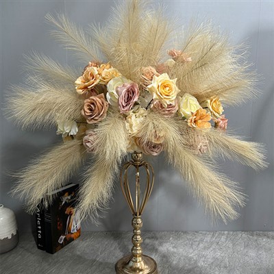 Pampas gress midtpunkt